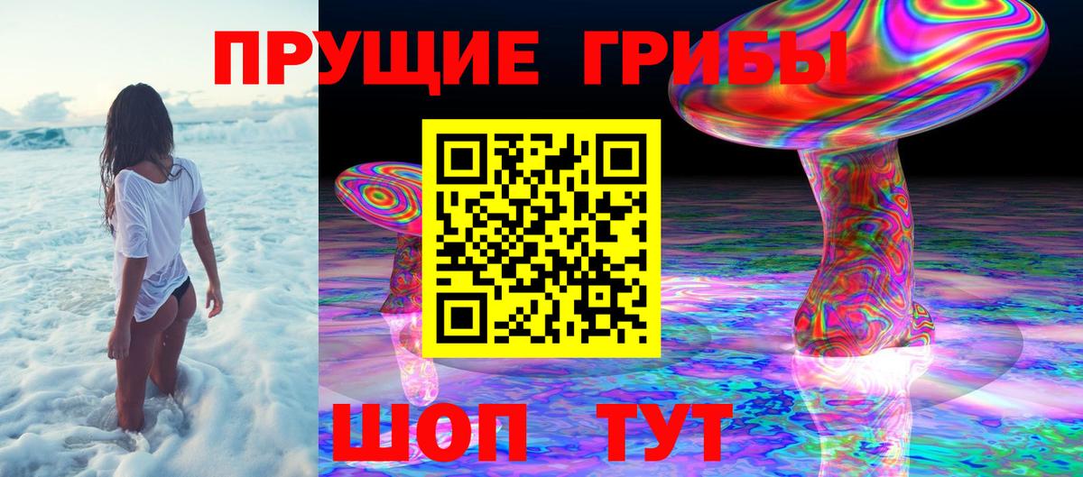 Псилоцибиновые грибы GOLDEN TEACHER Санкт-Петербург