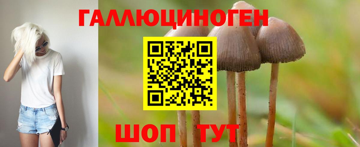 Санкт-Петербург  Псилоцибиновые грибы MAGIC MUSHROOMS  Вход с VPN 